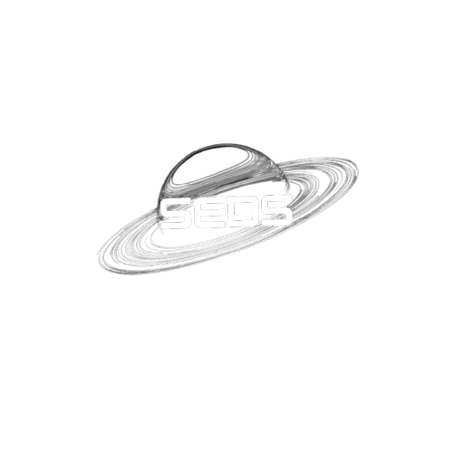 SEDS Logo